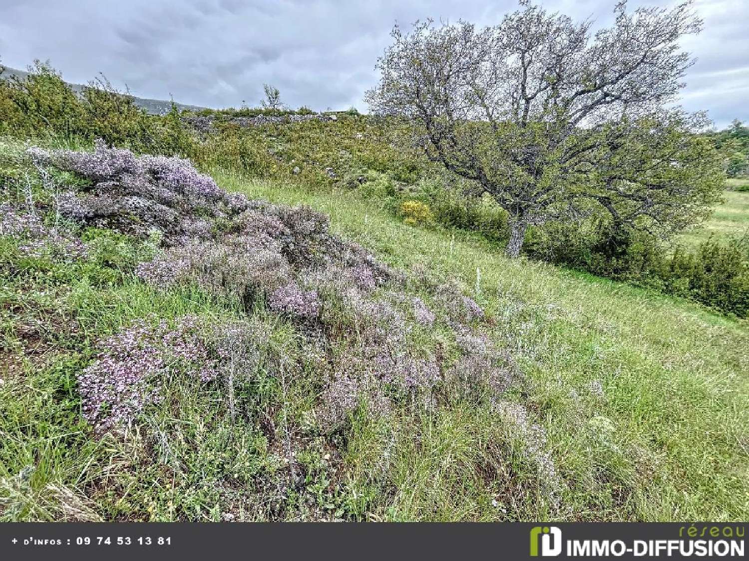  for sale terrain Demandolx Alpes-de-Haute-Provence 1