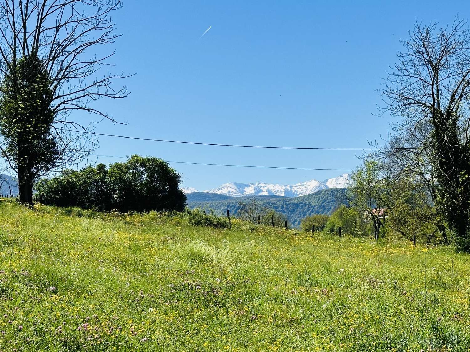  kaufen Grundstück Montesquieu-Avantès Ariège 1
