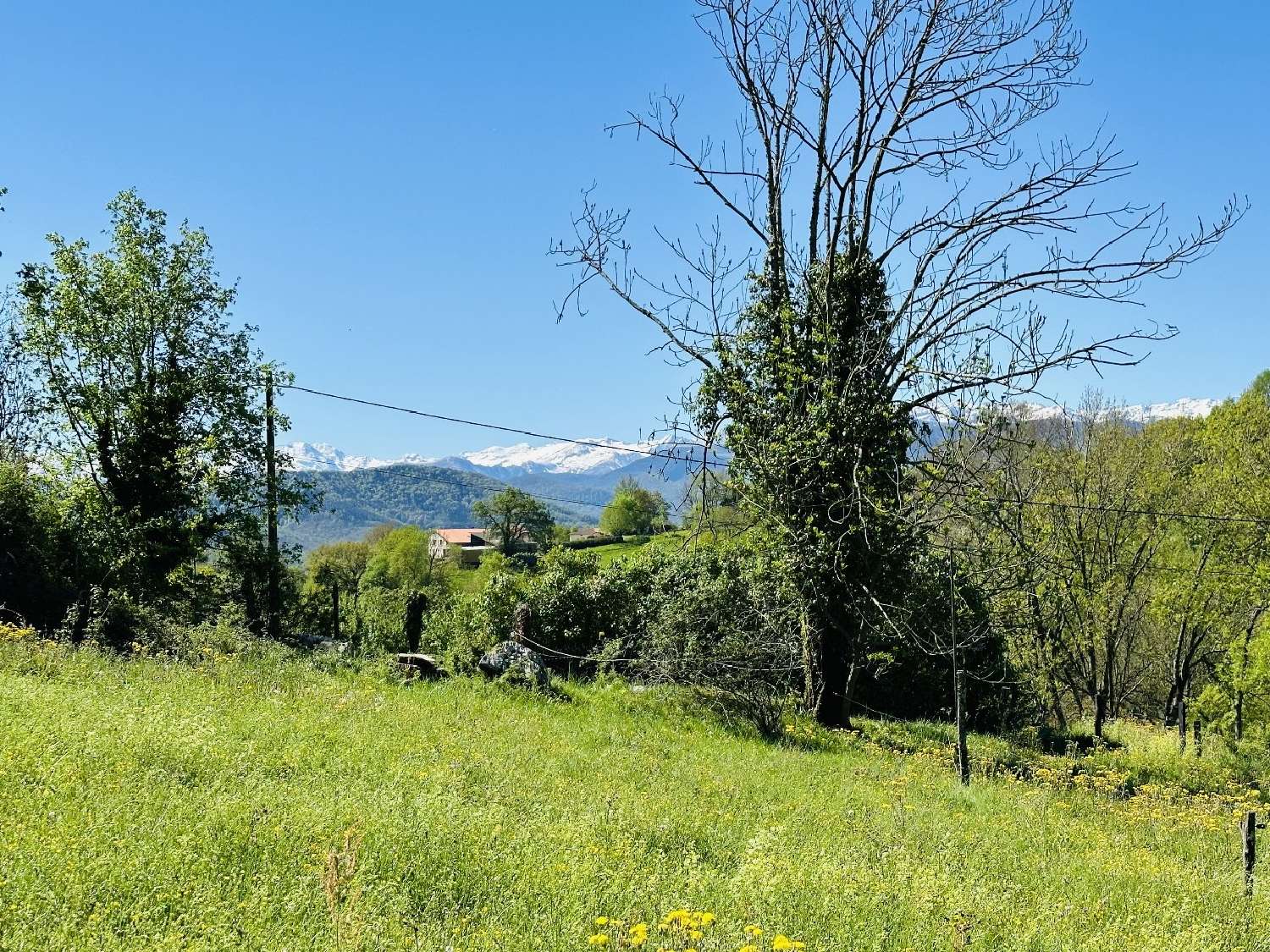  kaufen Grundstück Montesquieu-Avantès Ariège 5