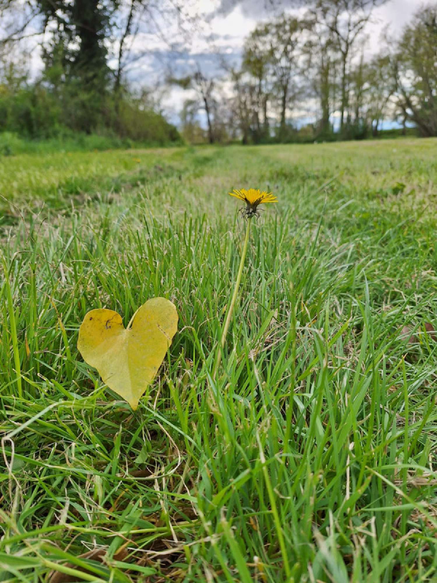  kaufen Grundstück Saint-Mont Gers 3