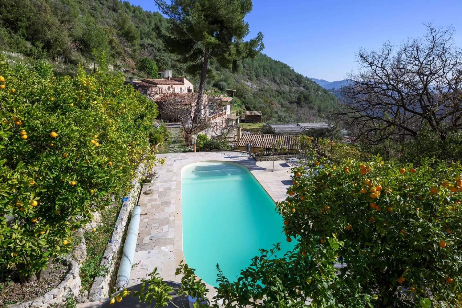  for sale villa Falicon Alpes-Maritimes 5