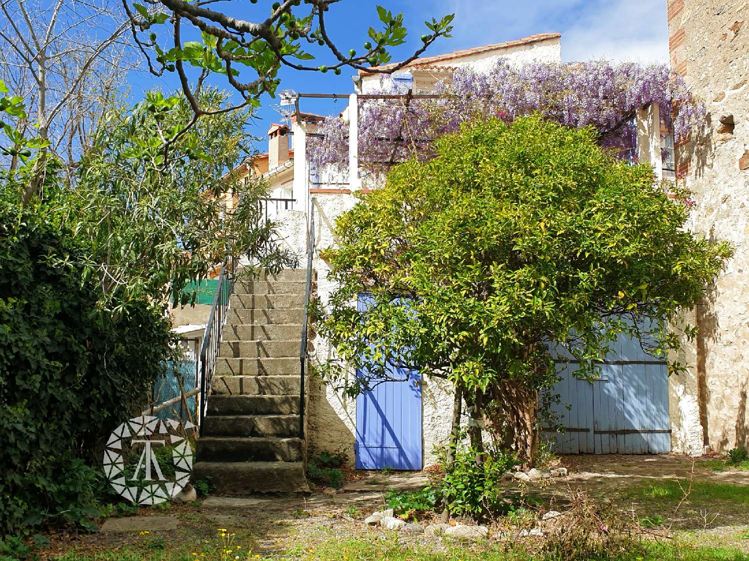  à vendre maison de village Sorède Pyrénées-Orientales 2
