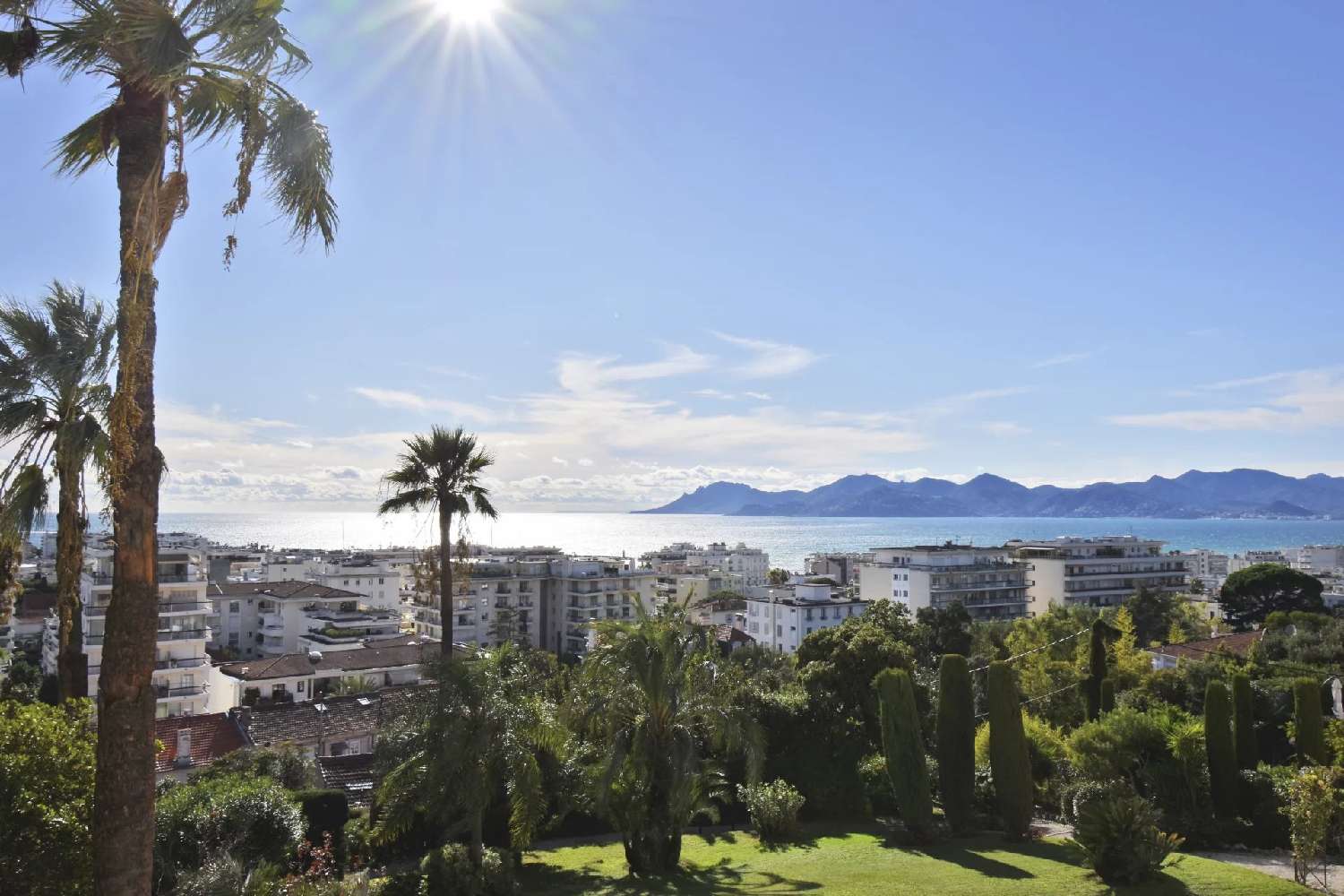 Cannes Alpes-Maritimes Wohnung/ Apartment Bild 6863131