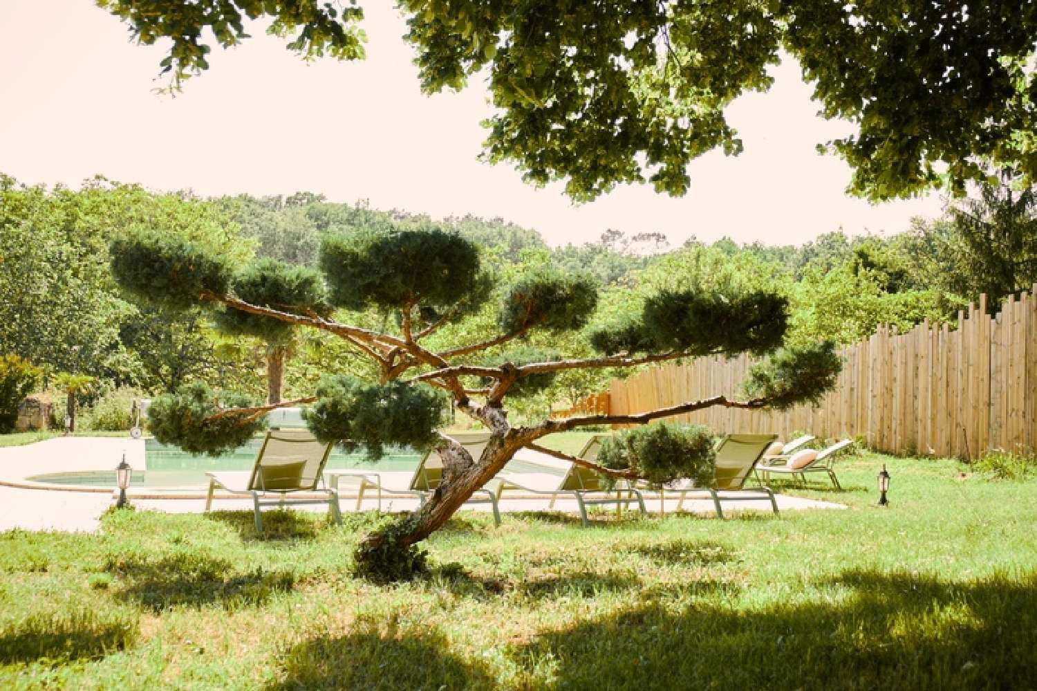  te koop landgoed Montferrand-du-Périgord Dordogne 3