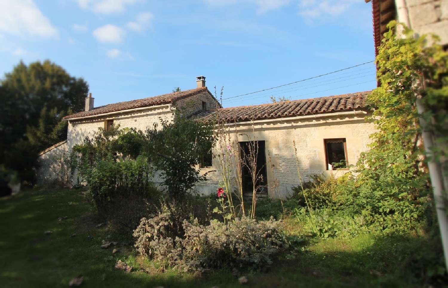  kaufen Bauernhof Sainte-Ouenne Deux-Sèvres 3