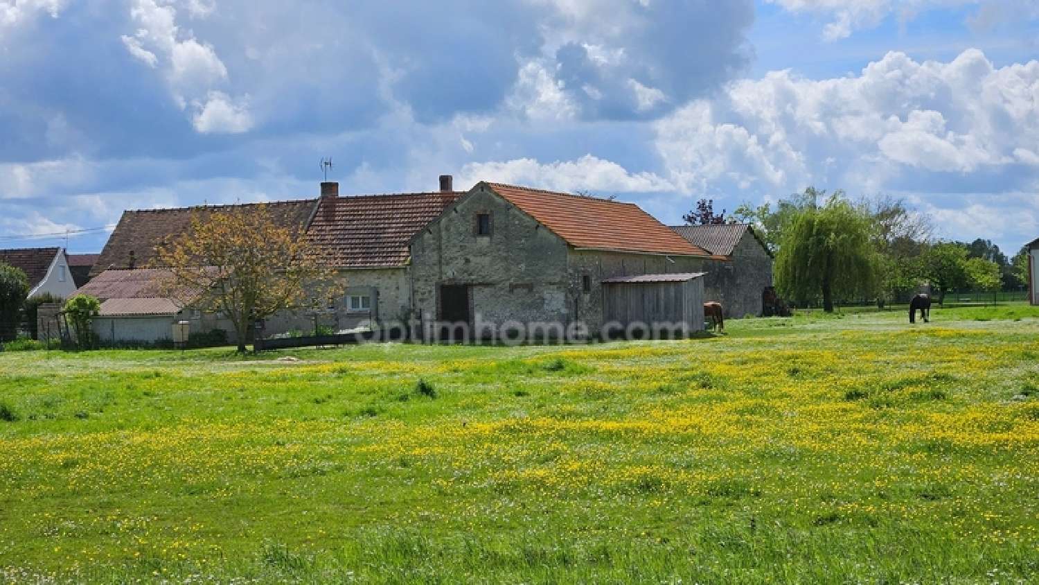  te koop huis Bray-sur-Seine Seine-et-Marne 2