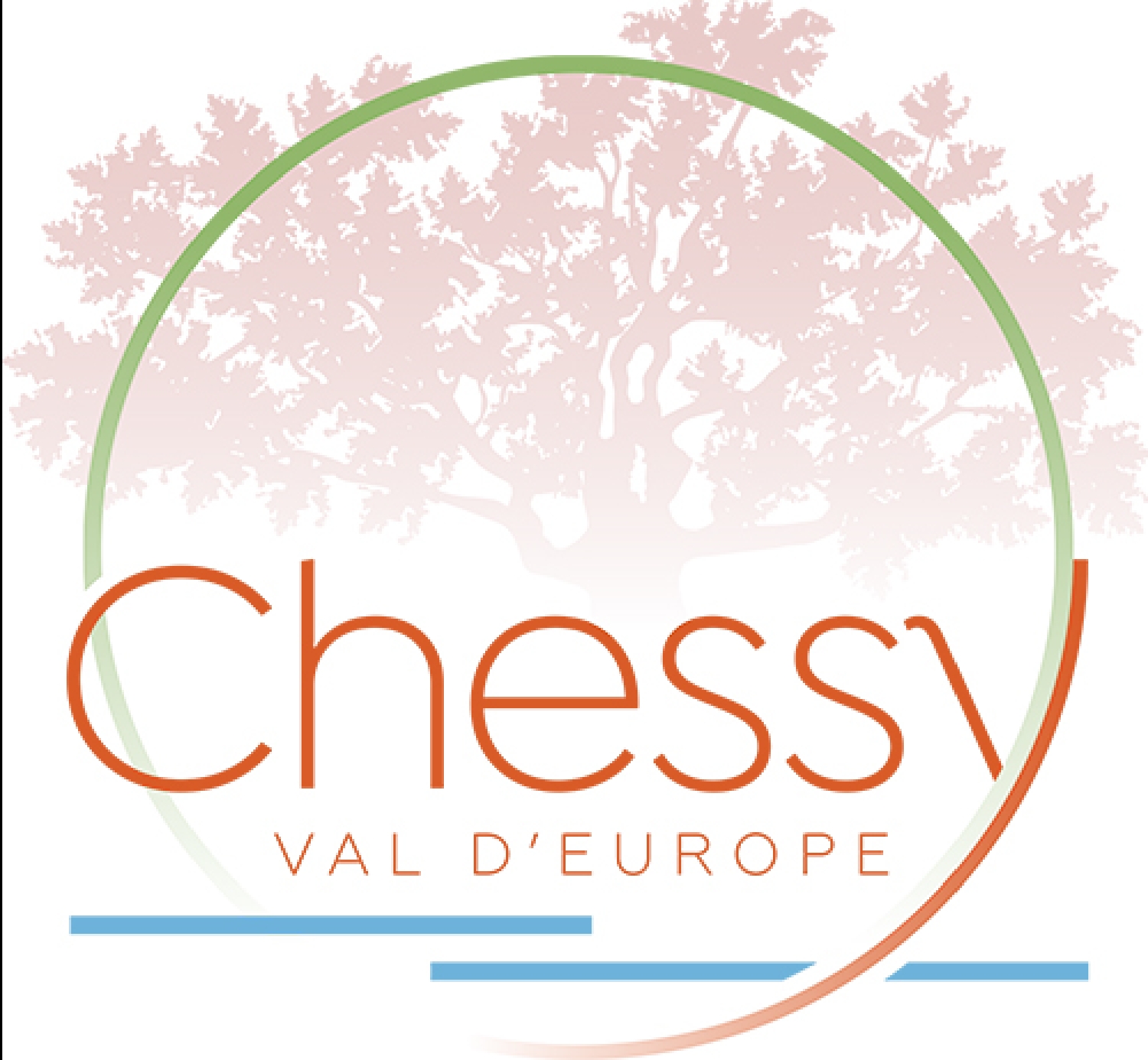  te koop huis Chessy Seine-et-Marne 1