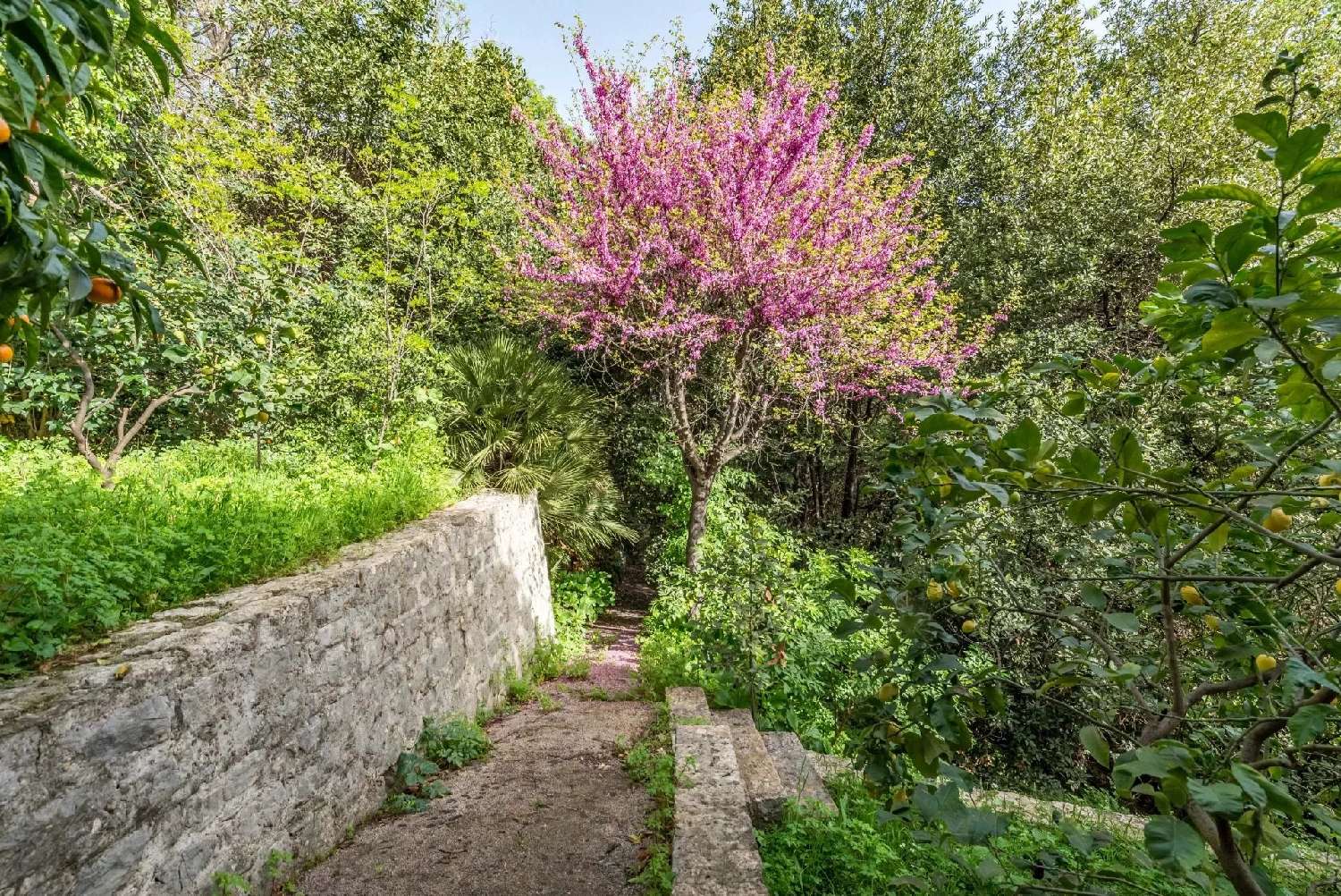  for sale house Grasse Alpes-Maritimes 4