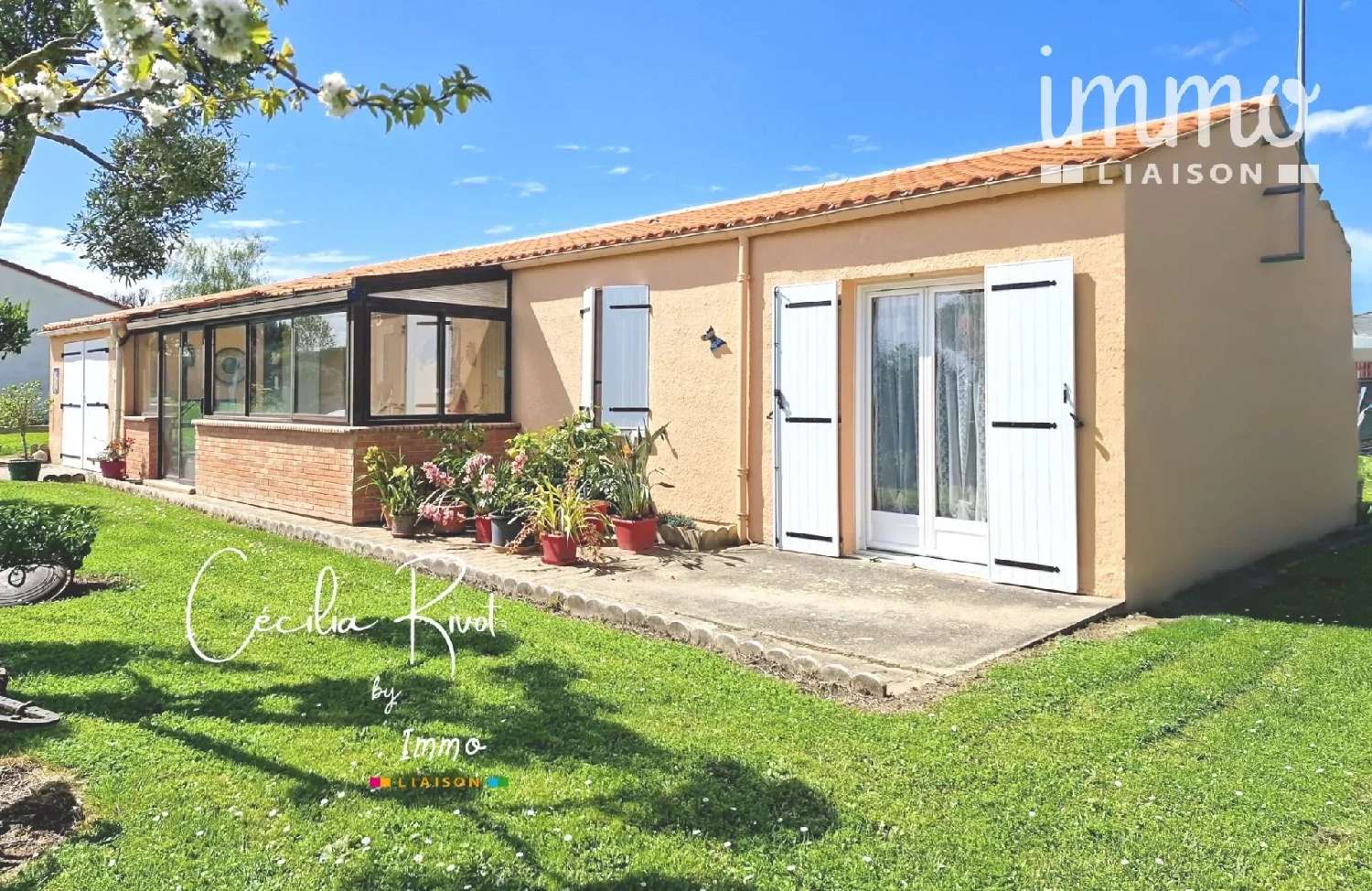  te koop huis Meschers-sur-Gironde Charente-Maritime 1