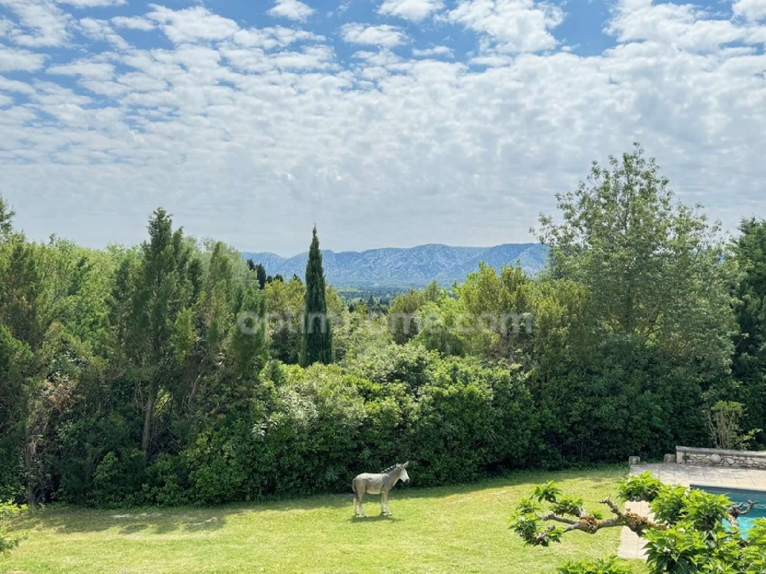 Saint-Rémy-de-Provence Bouches-du-Rhône house foto 6867724