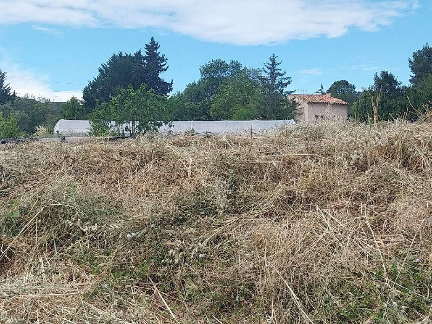  kaufen Grundstück Clermont-l'Hérault Hérault 5