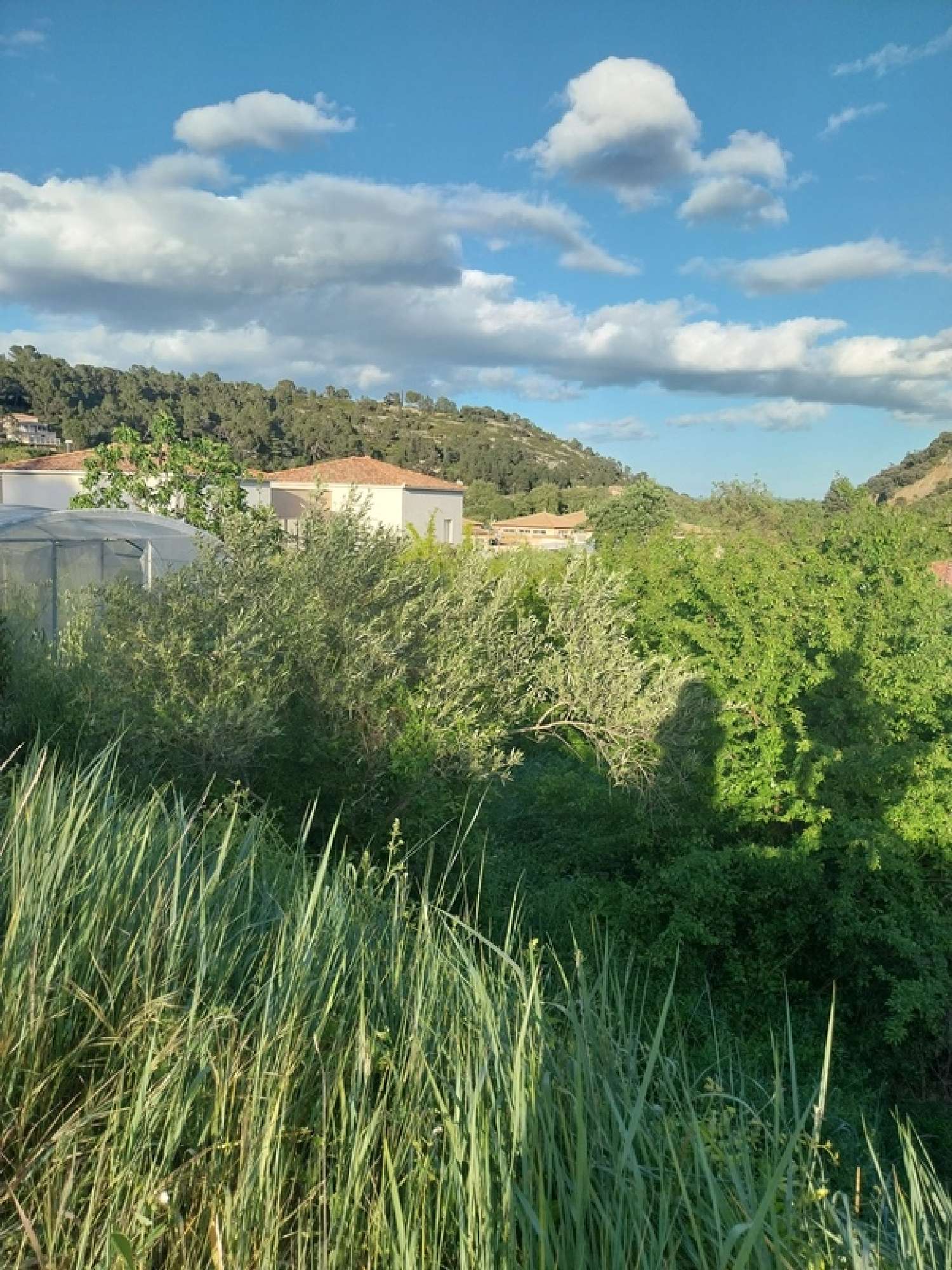  kaufen Grundstück Clermont-l'Hérault Hérault 6