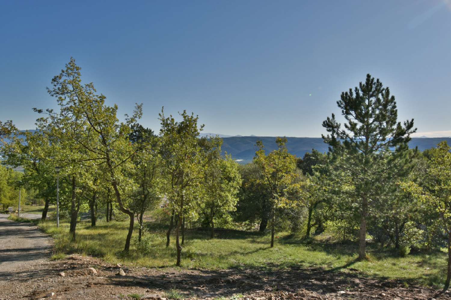  kaufen Grundstück Ganagobie Alpes-de-Haute-Provence 5