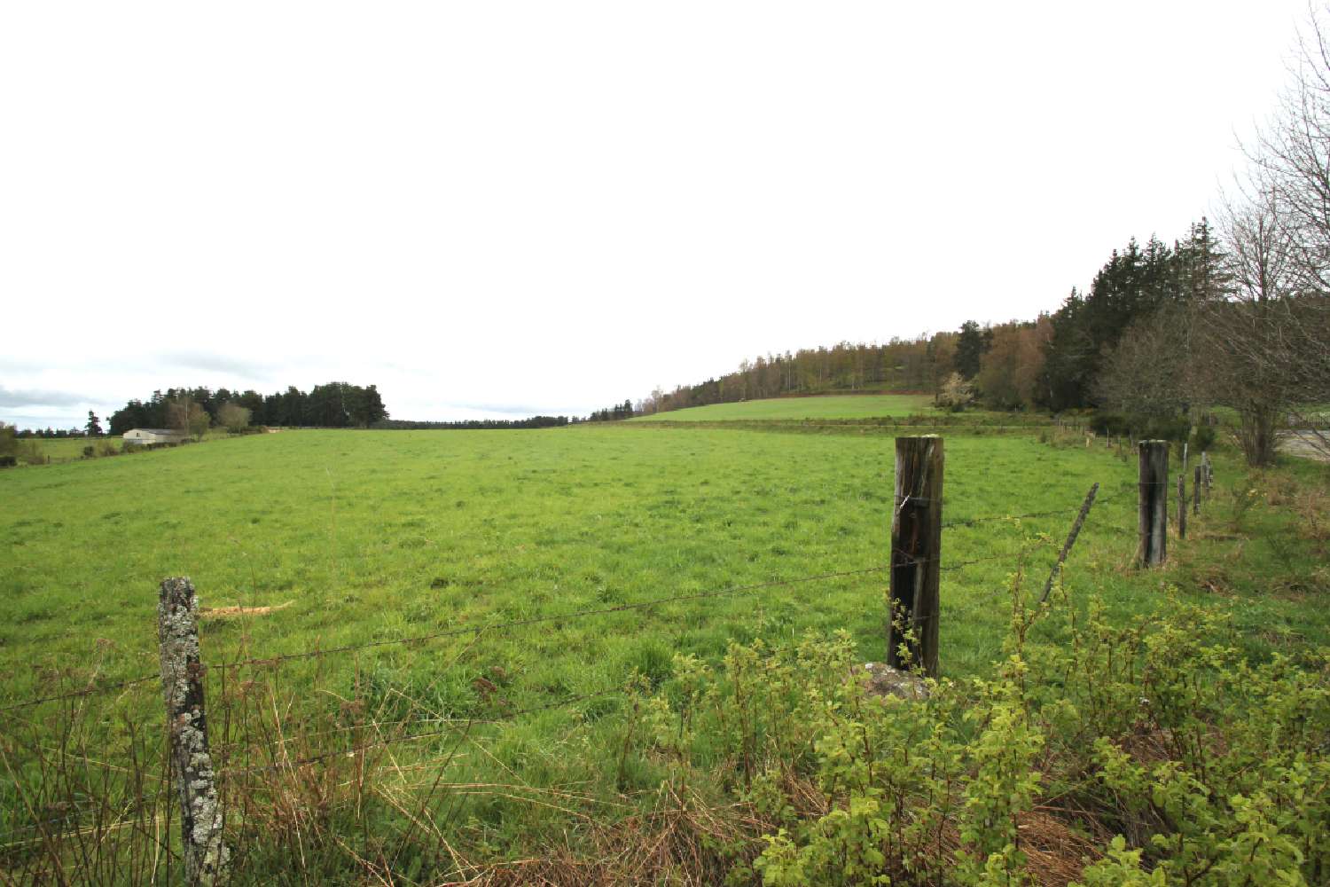  à vendre terrain Les Bessons Lozère 3