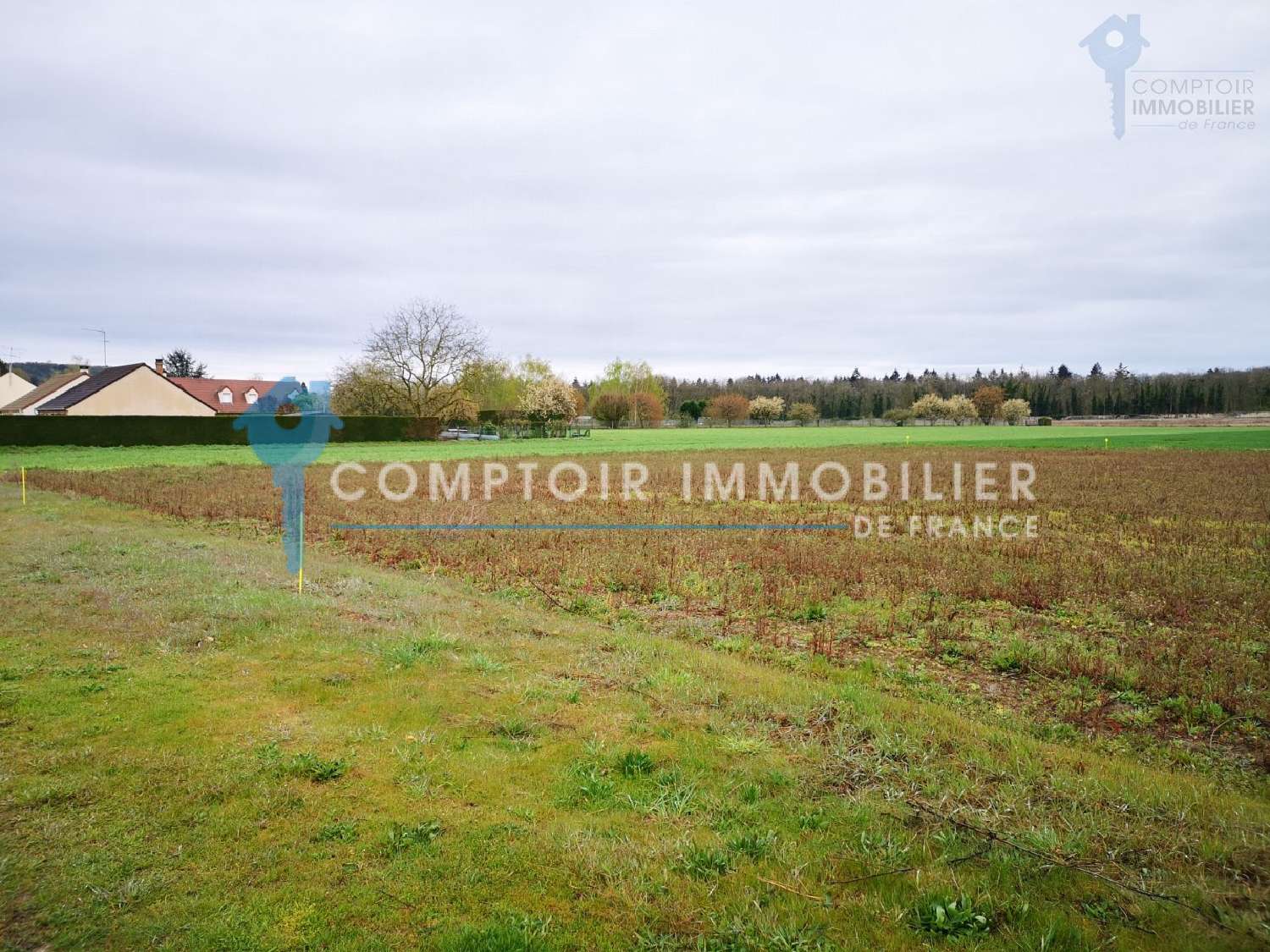  kaufen Grundstück Vayres-sur-Essonne Essonne 3