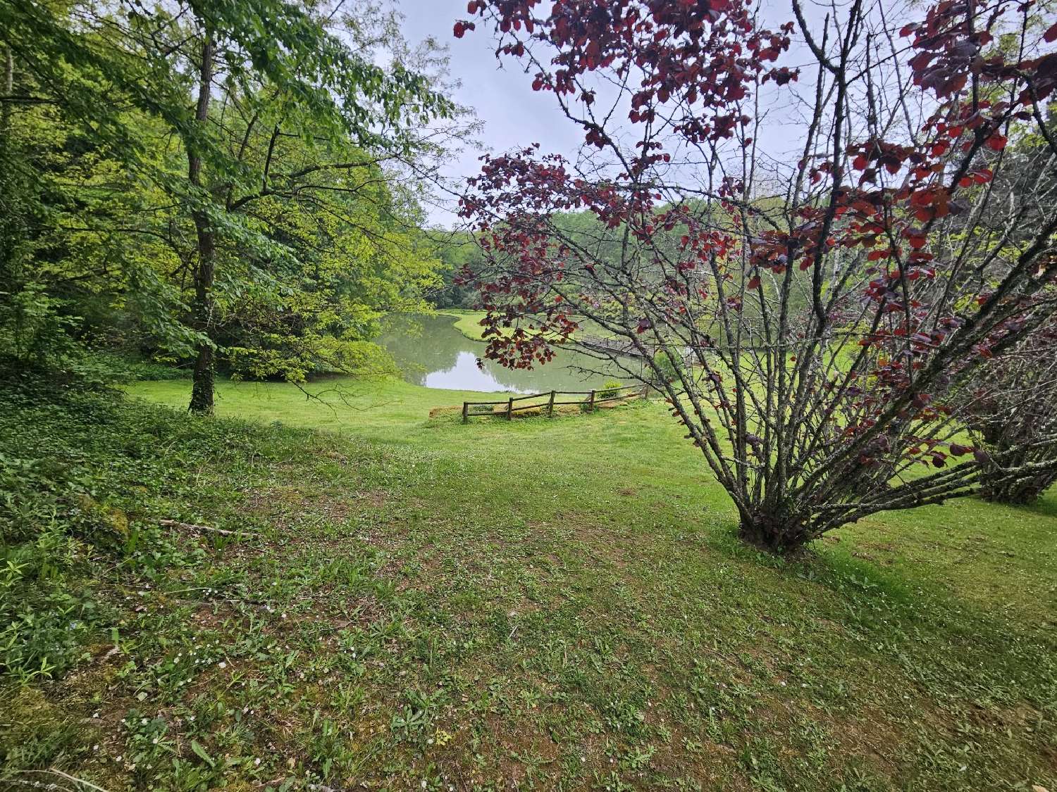  kaufen Villa Sarlat-la-Canéda Dordogne 6