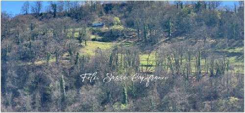  à vendre grange Argelès-Gazost Hautes-Pyrénées 5