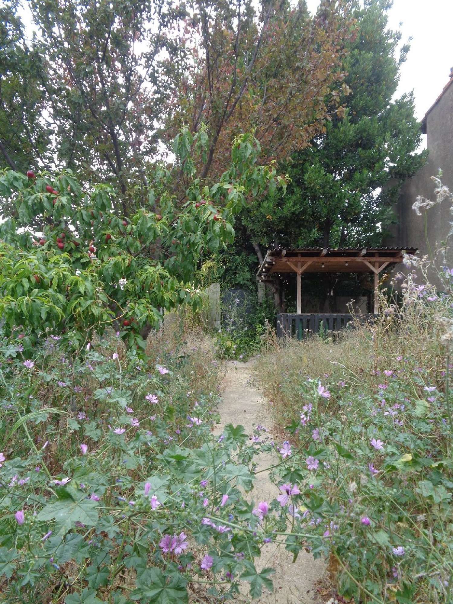  kaufen Haus Béziers Hérault 5