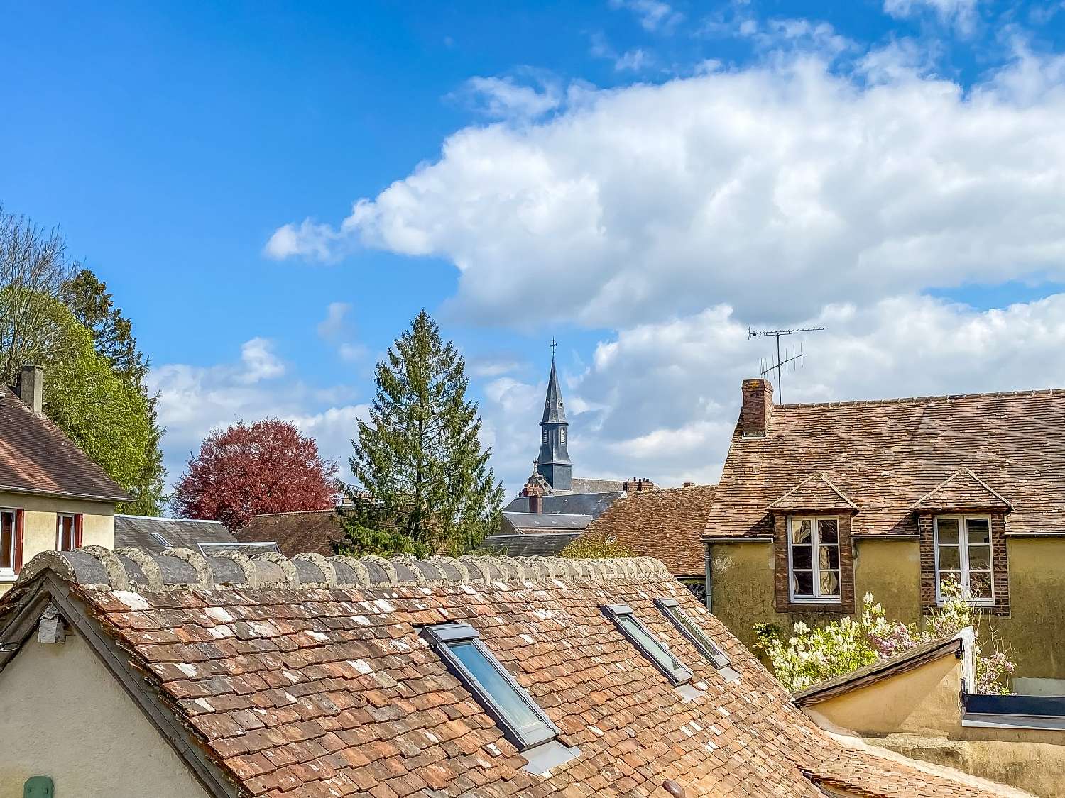  en venta casa Mortagne-au-Perche Orne 1