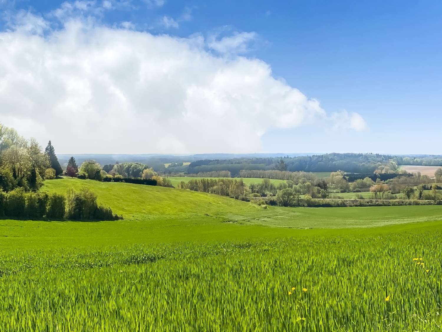 en venta casa Mortagne-au-Perche Orne 2