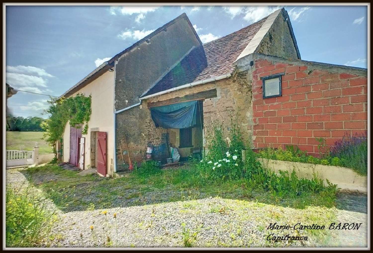  kaufen Haus Saint-Plantaire Indre 4