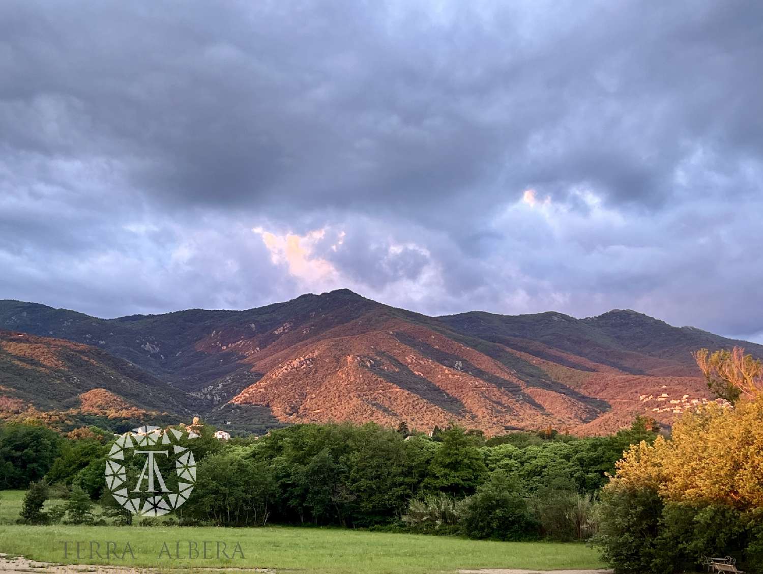 Laroque-des-Albères Pyrénées-Orientales terrain foto 6881473