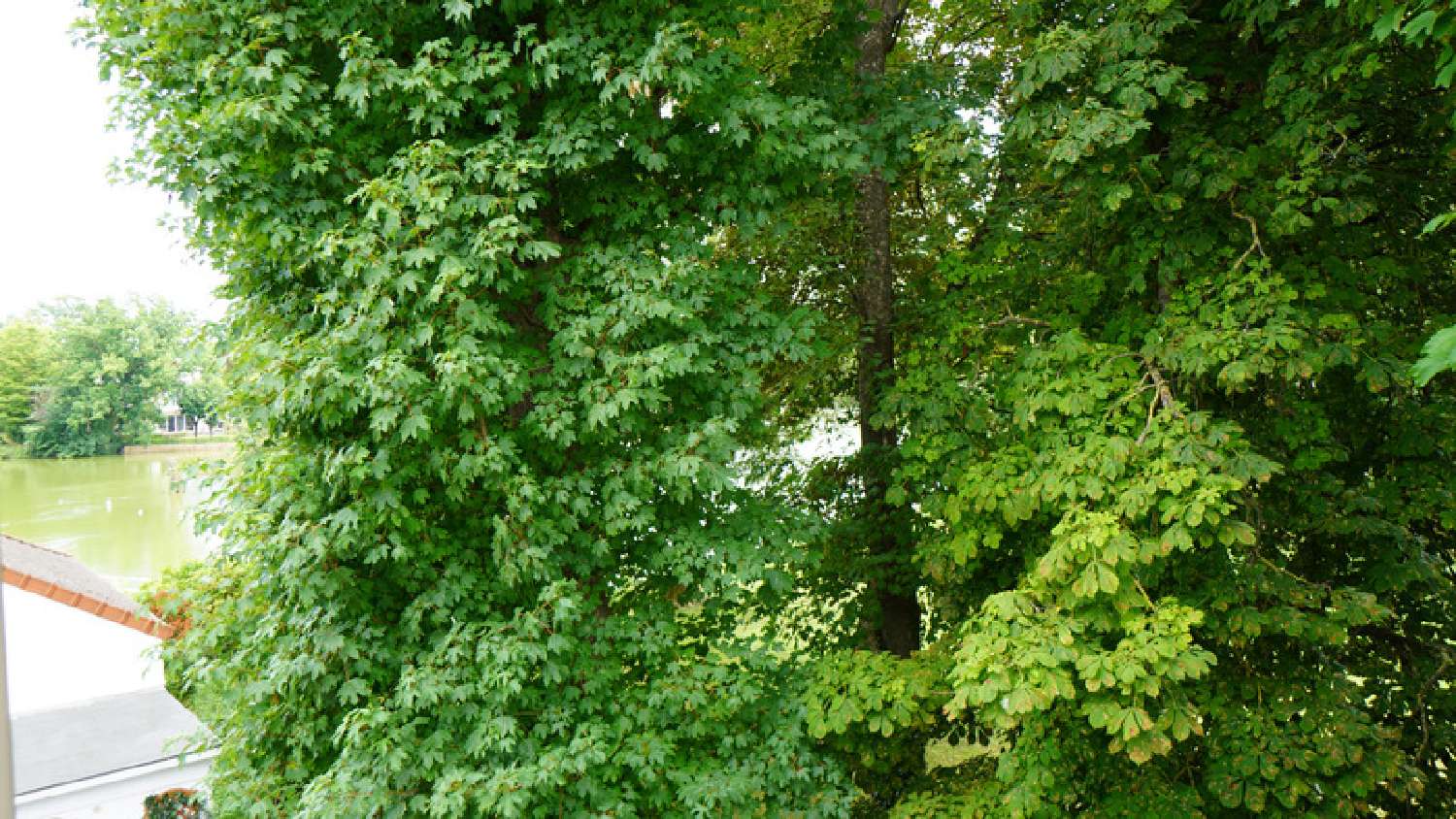  kaufen Wohnung/ Apartment Saint-Gratien Val-d'Oise 2