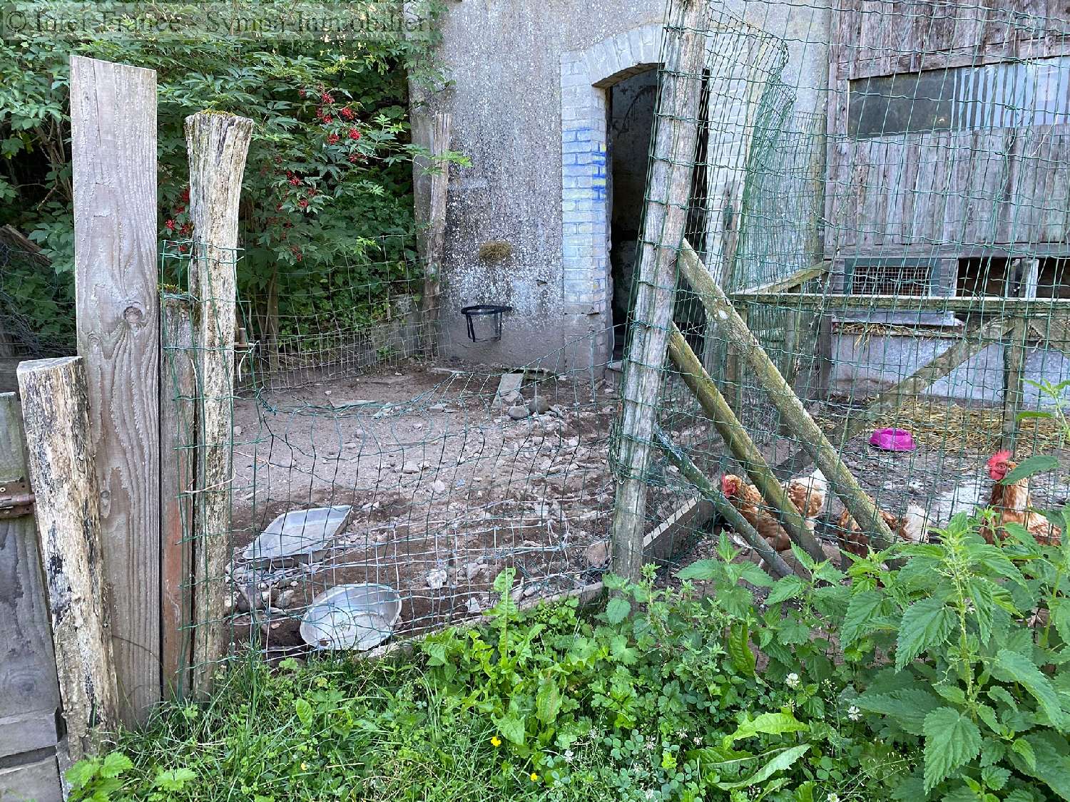 gîtes/ chambres d'hôtes à vendre La Proiselière-et-Langle, Haute-Saône ( Bourgogne-Franche-Comté) foto 11