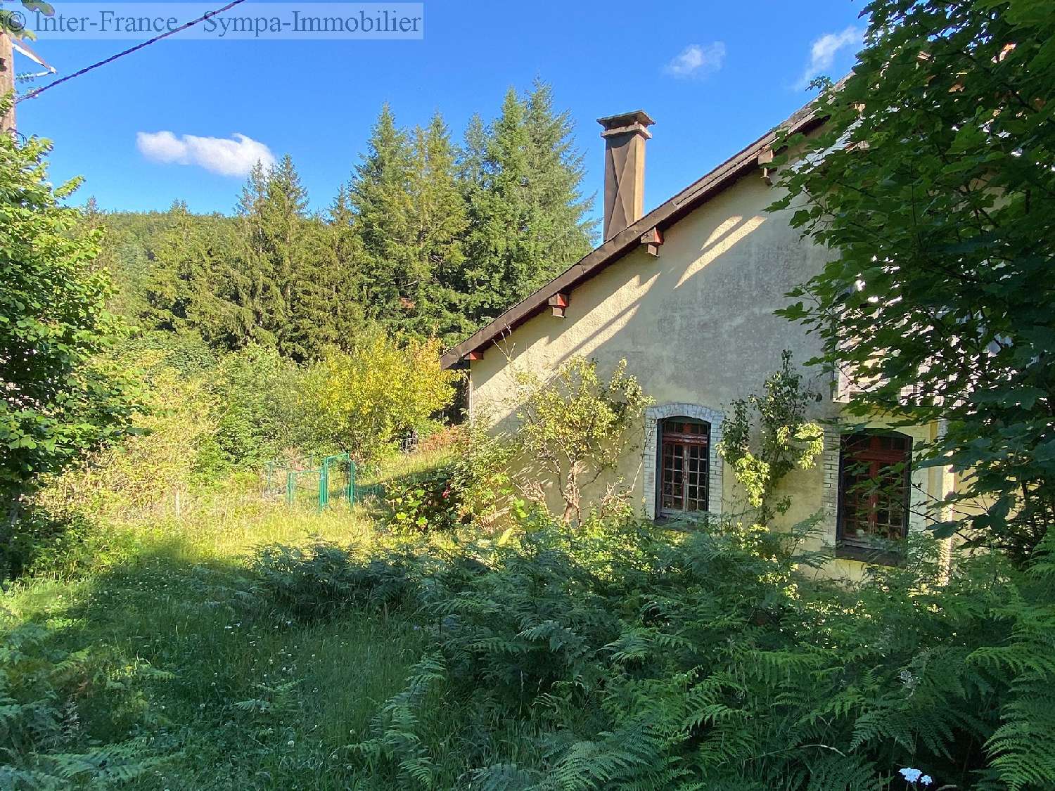 gîtes/ chambres d'hôtes te koop La Proiselière-et-Langle, Haute-Saône ( Bourgogne-Franche-Comté) foto 12