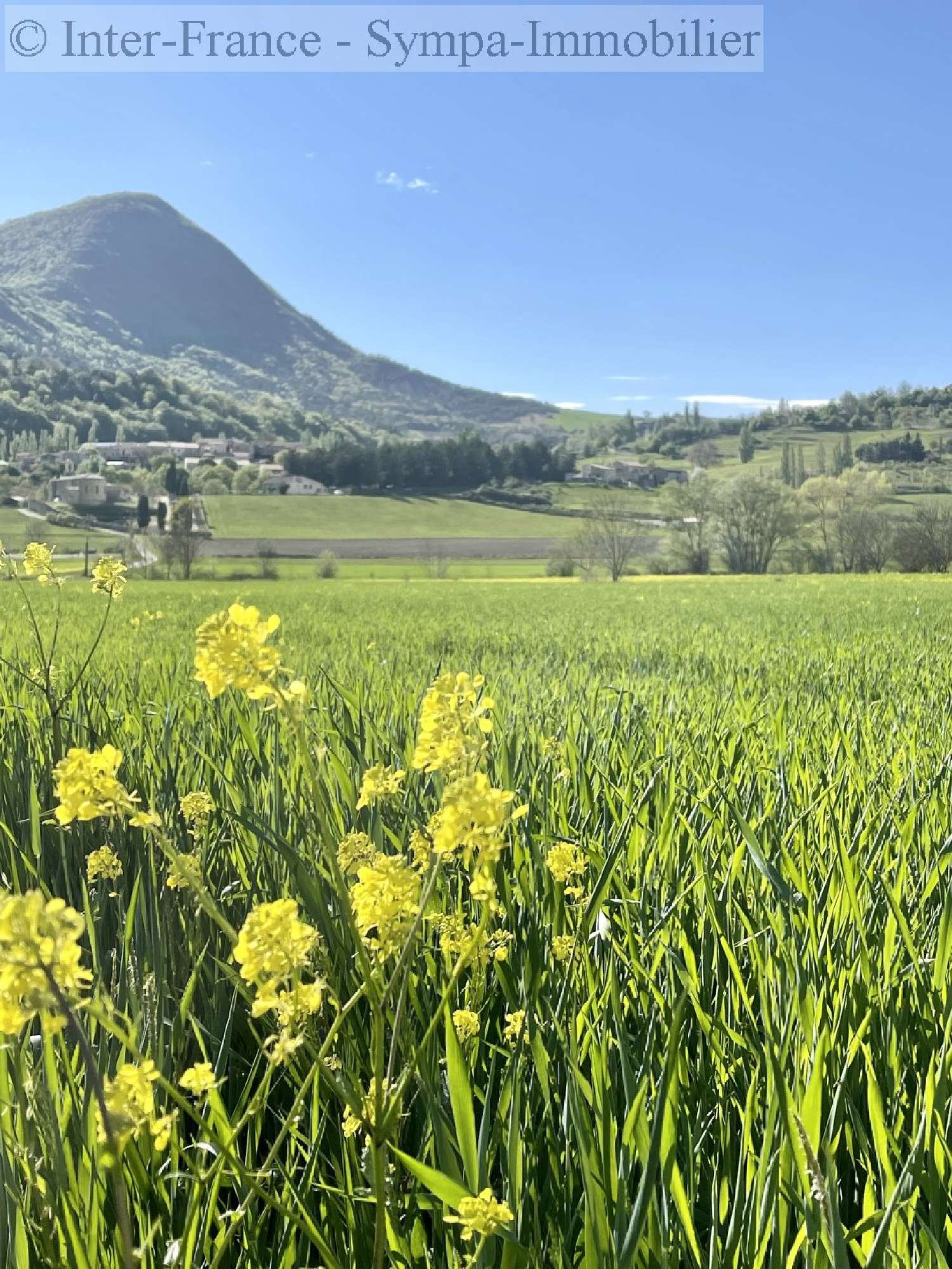 camping à vendre Dieulefit, Drôme ( Auvergne-Rhône-Alpes) foto 7