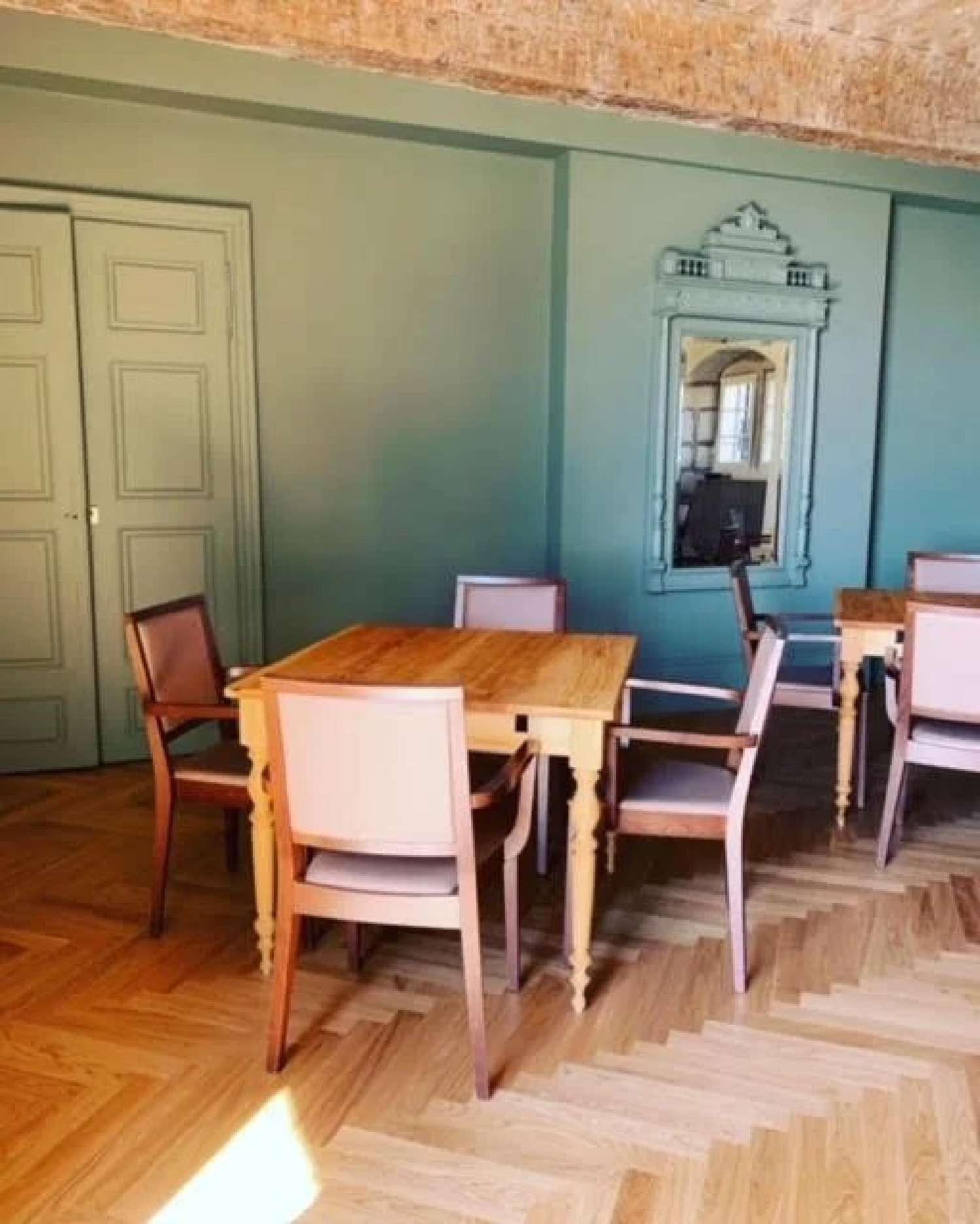  kaufen Landgut Ambérieux-en-Dombes Ain 7