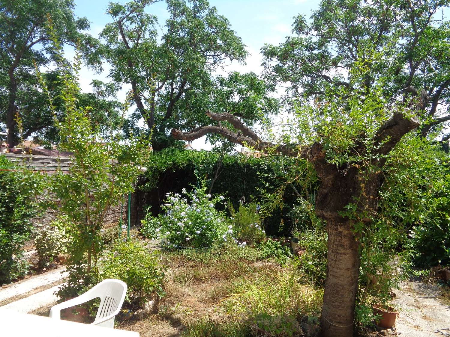  kaufen Haus Béziers Hérault 3
