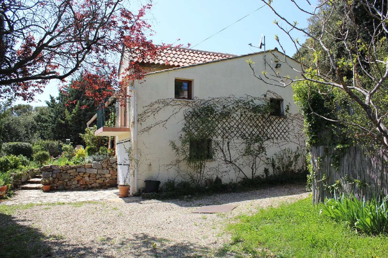  kaufen Haus Faugères Hérault 3
