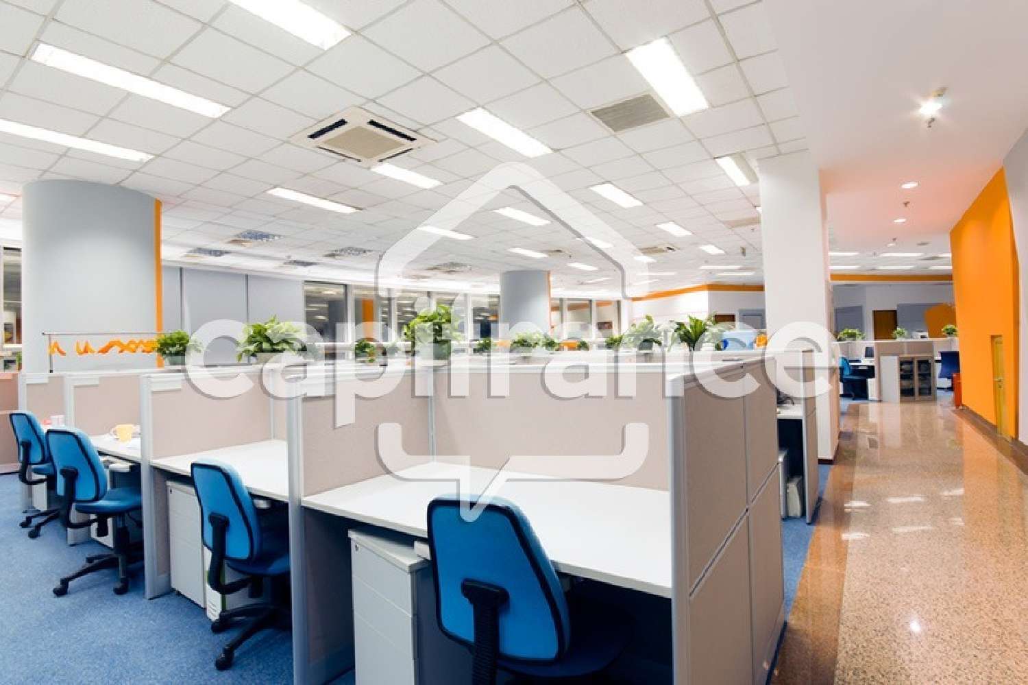 for sale office Villefranche-sur-Saône Rhône 3