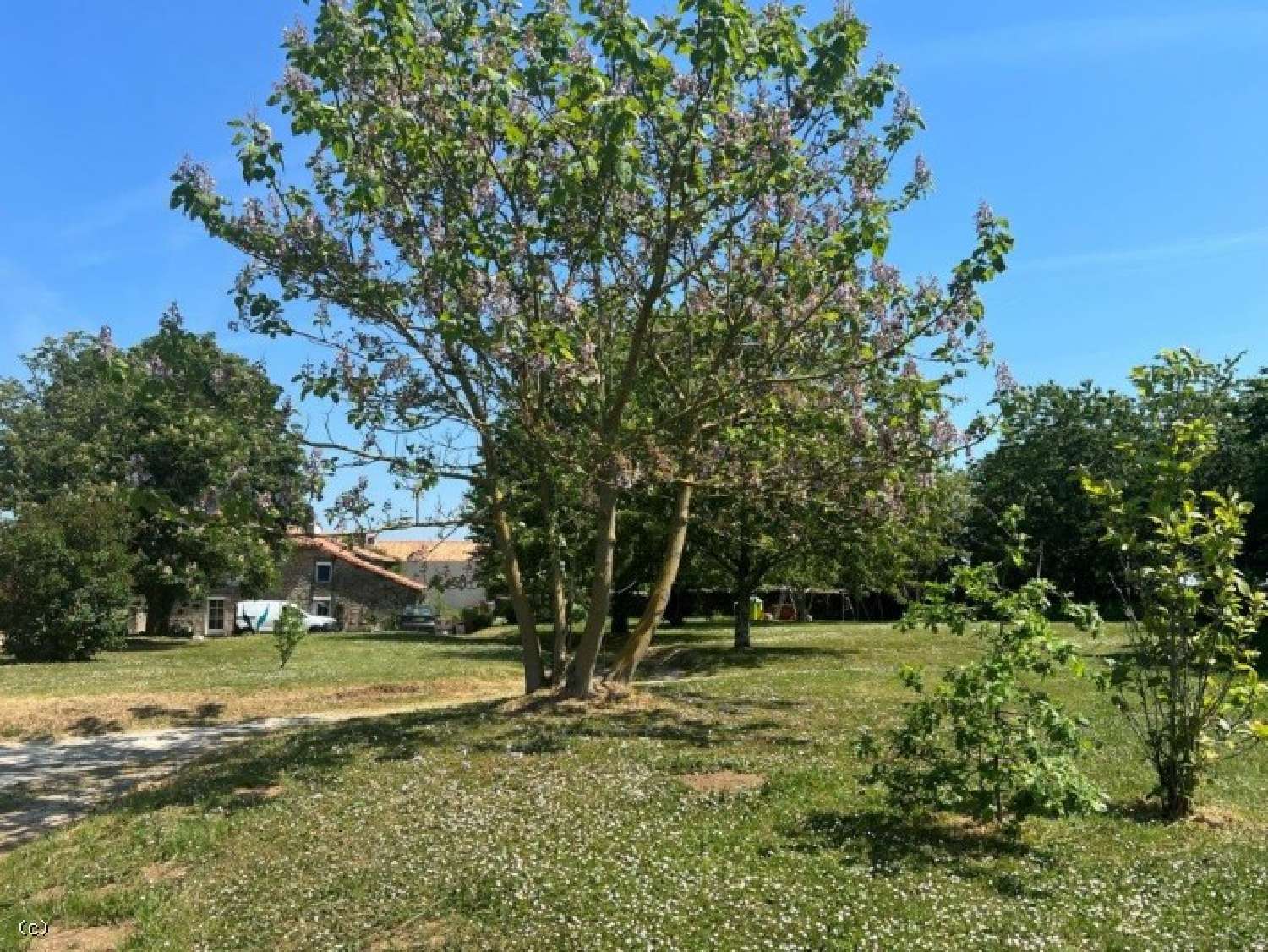  kaufen Haus Nanteuil-en-Vallée Charente 2