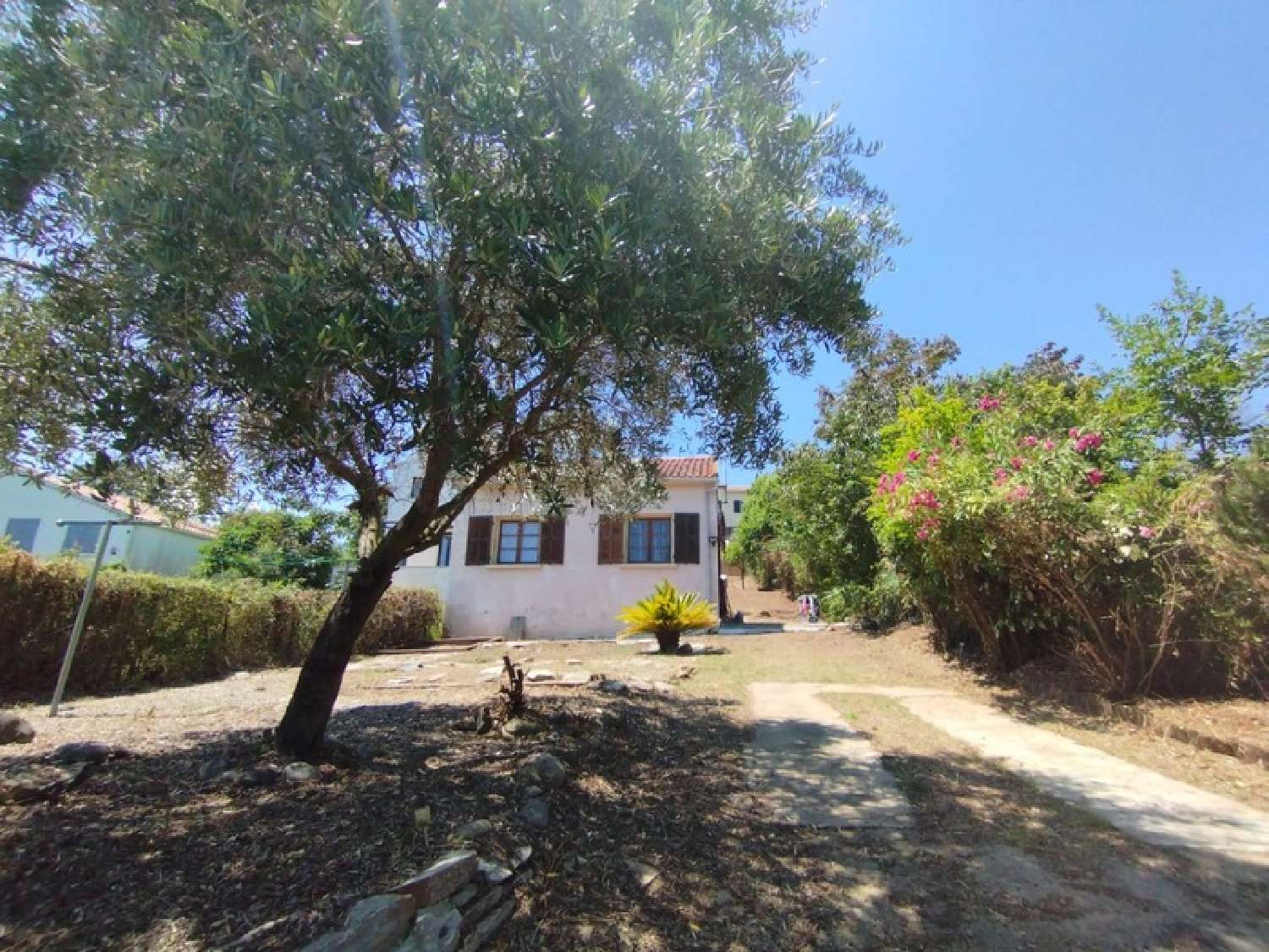  kaufen Haus San-Nicolao Haute-Corse 1