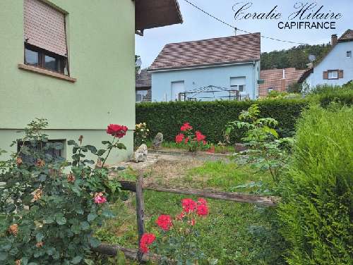 Sondersdorf Haut-Rhin Haus Bild 6900296