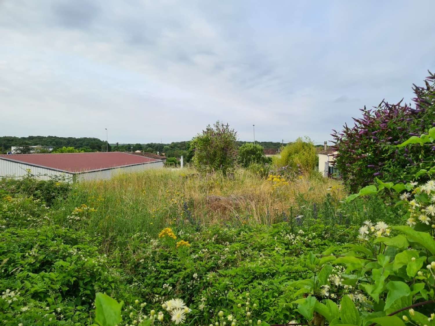 Soyaux Charente terrain foto 6900165