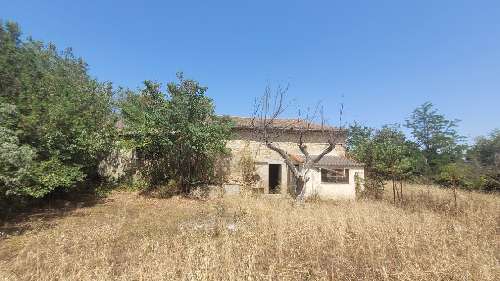 Puimisson Hérault barn foto