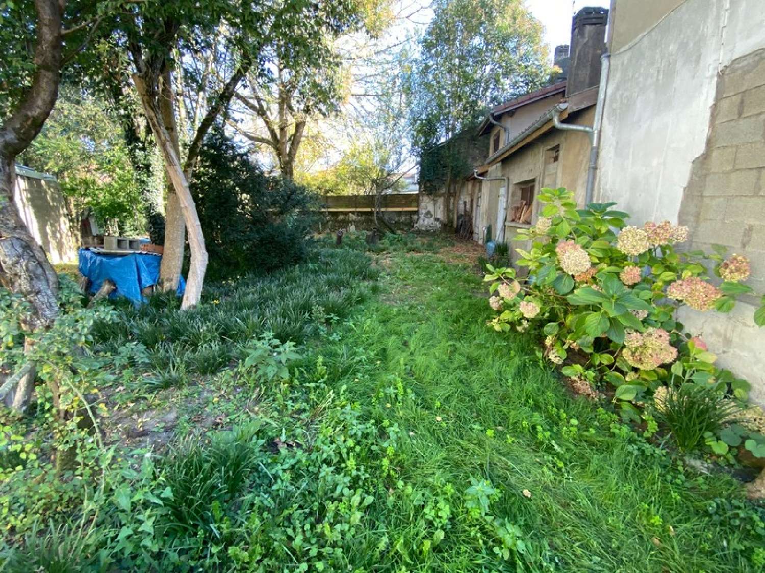  kaufen Stadthaus Tartas Landes 4