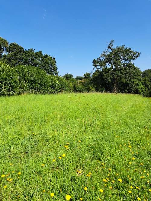 Villaines-la-Juhel Mayenne Grundstück Bild 6917536