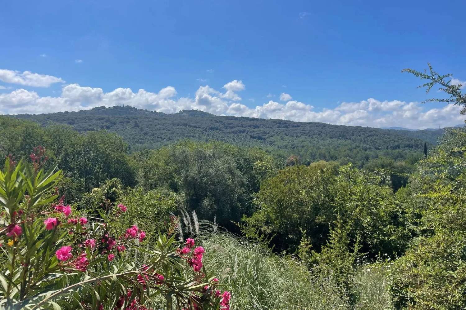  kaufen Villa Montauroux Var 2