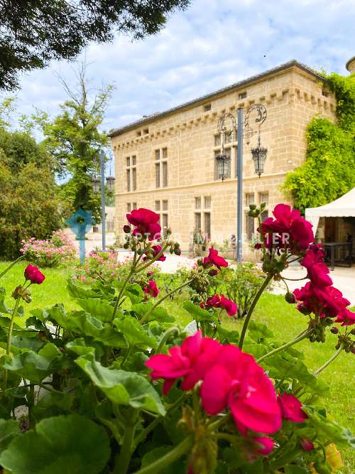 Châteauneuf-du-Pape Vaucluse château foto