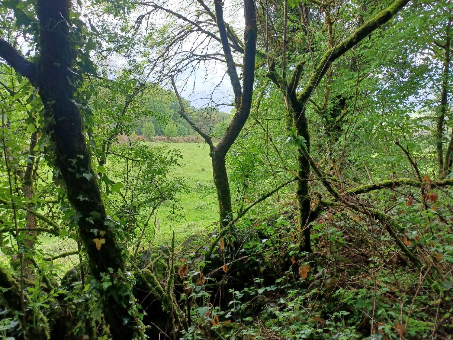  kaufen Haus Ahun Creuse 6