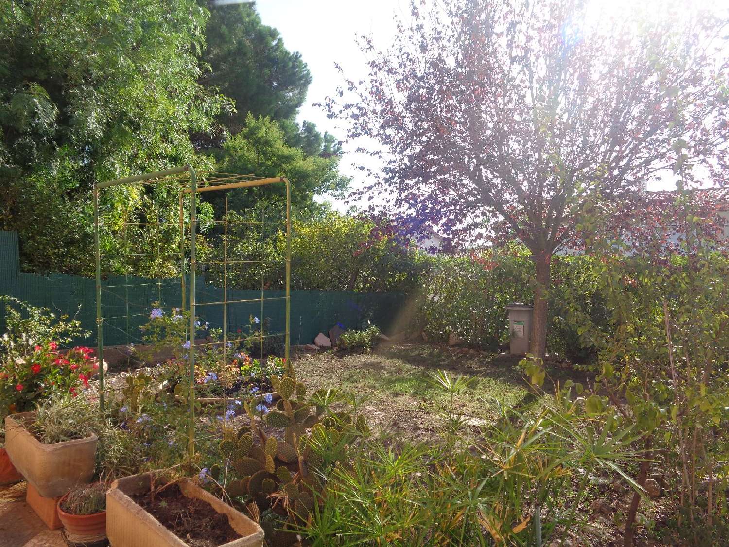  kaufen Haus Béziers Hérault 2