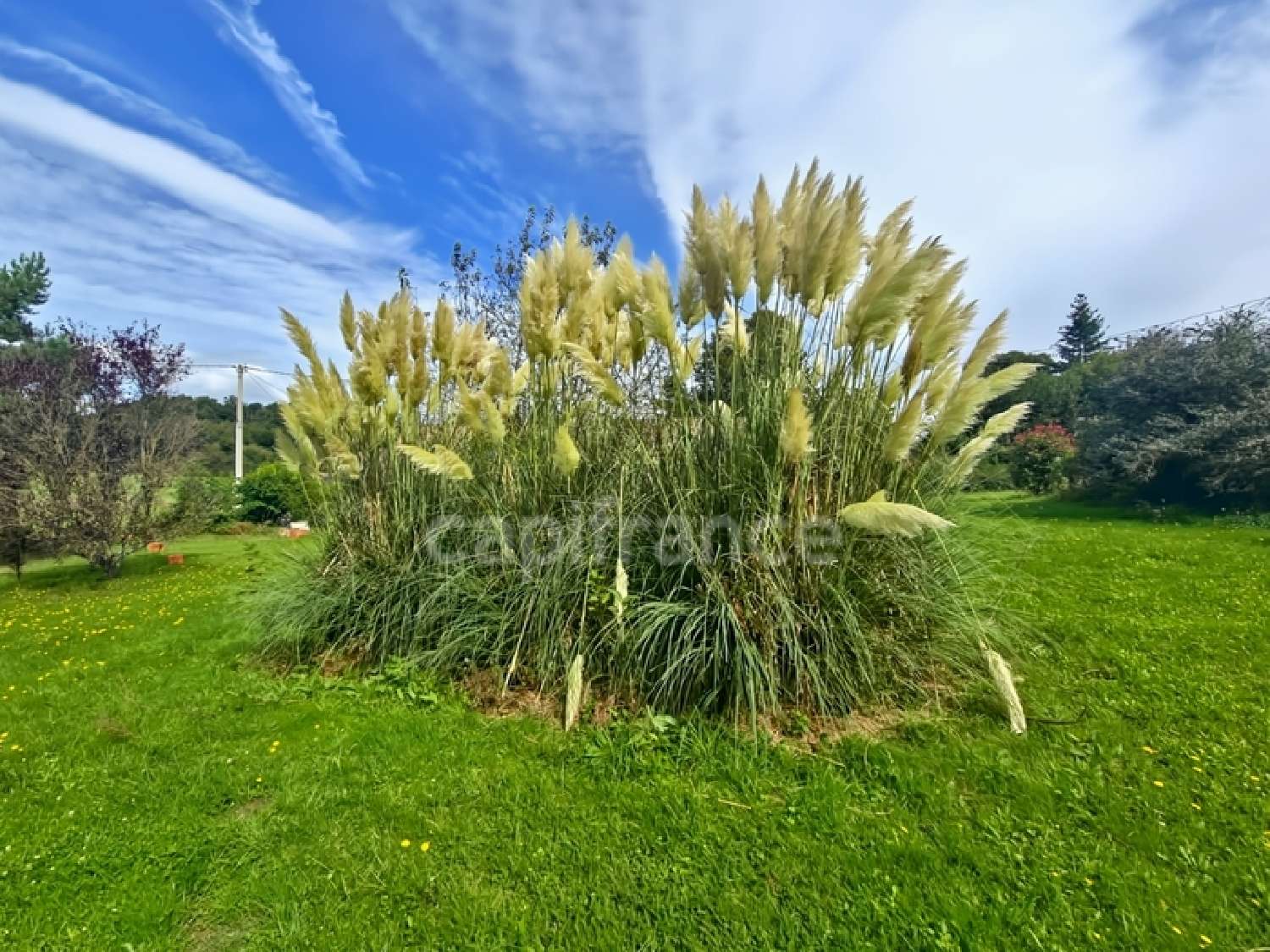  kaufen Haus Bouloire Sarthe 5