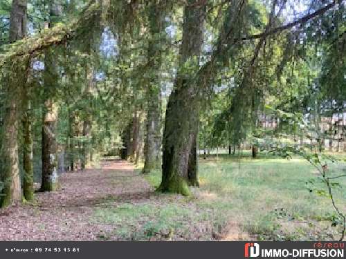 Châteauneuf-la-Forêt Haute-Vienne huis foto