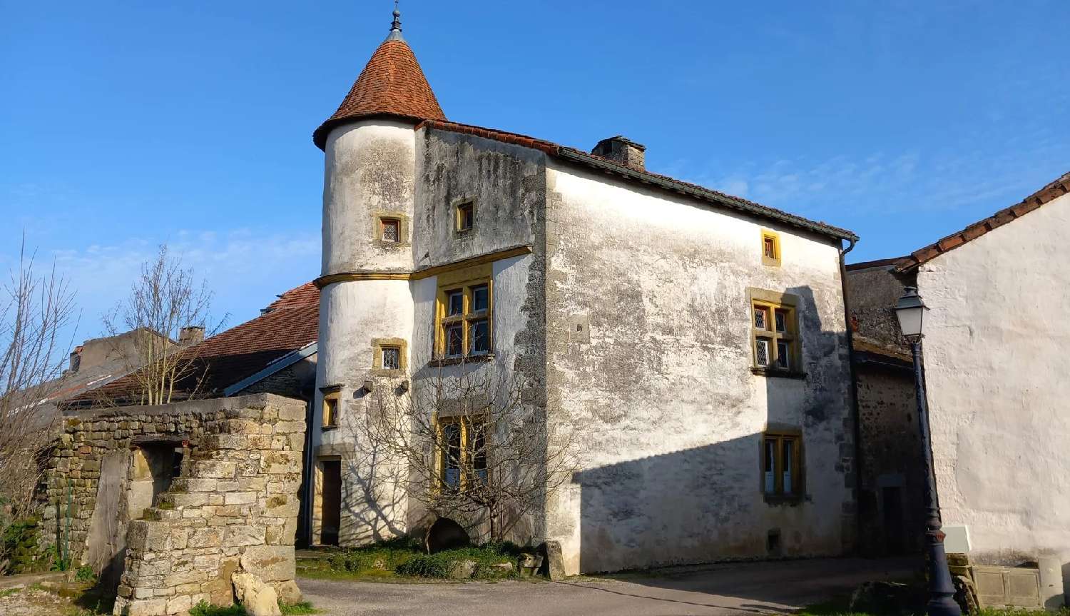 Châtillon-sur-Saône Vosges house foto 6942623