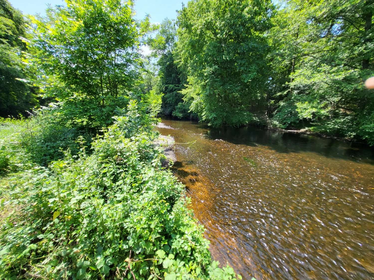  kaufen Haus Le Pêchereau Indre 4