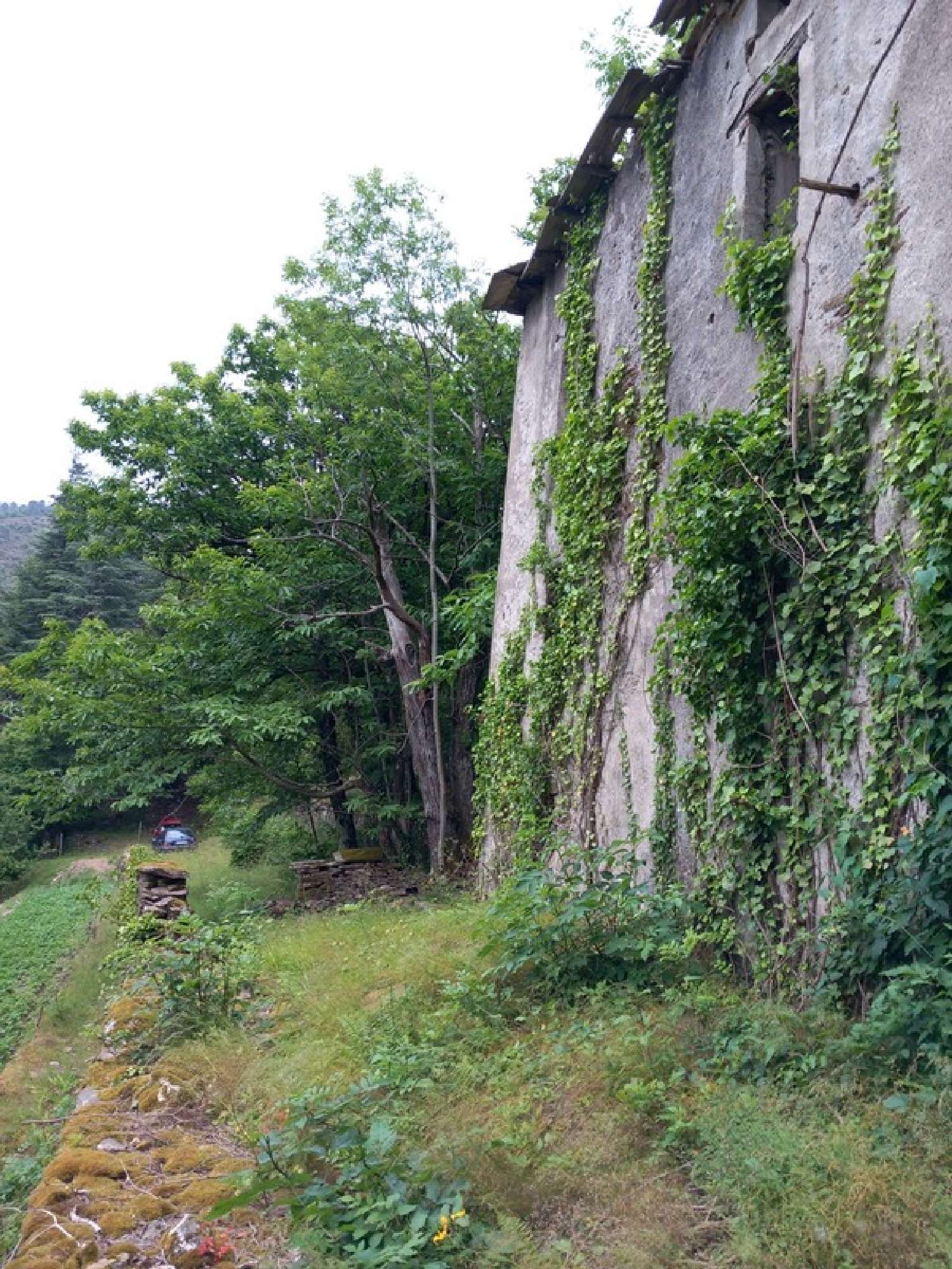  kaufen Haus Saint-André-de-Valborgne Gard 6